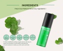 REAL CICA : PATHENOL ORIGINAL PACK 120ml + REAL CICA PANTHENOL SERUM 50ml